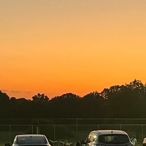 Meet your Posher, Daphne